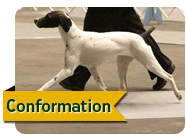 Conformation
