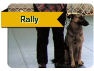 Rally