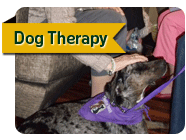 Therapy